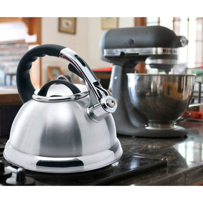 Whistling Tea Kettle Stainless Steel Copper Color