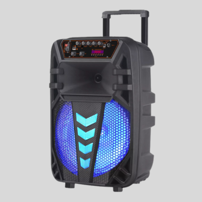 Portable Trolley Bluetooth Speaker NDR-W1012 TWS